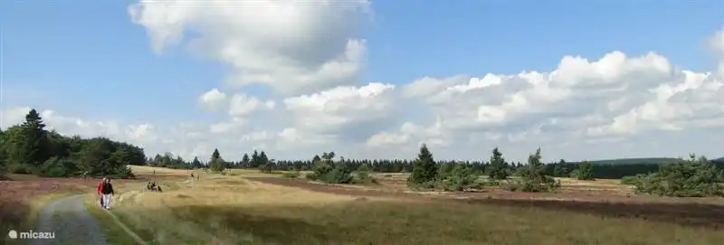 On the high peaks are extensive forests and heathlands that are ideal for walks or bike rides