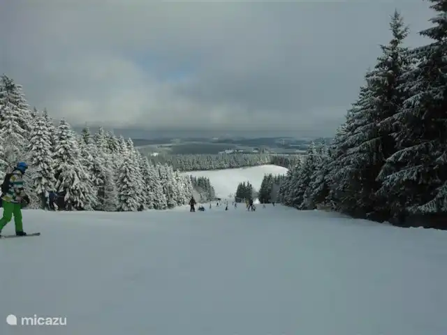 Location de Vacances Allemagne, Sauerland, Elpe, appartement - Hochsauerland Elpe Flussblick En hiver, vous pouvez faire des sports d'hiver, en particulier le grand domaine de Winterberg (26 remontées mécaniques) est très populaire et à seulement 9 km de l'appartement
