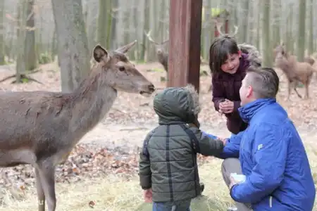 Enfants: Wildpark Meißner