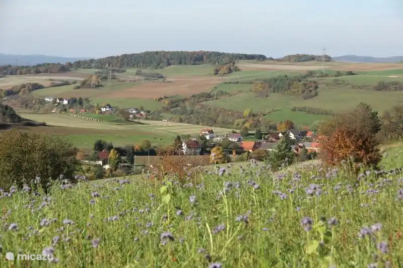 Die Wälder sind mit dieser Art von herrlichem Blick durchsetzt.