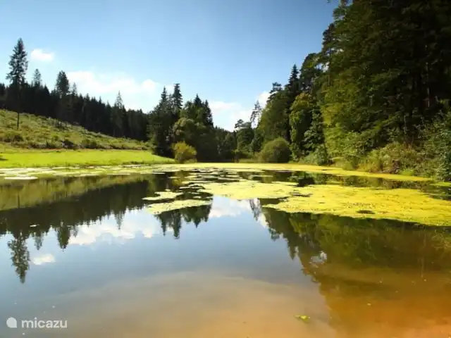 casa vacacional en Alemania, Hesse, Ronshausen – Us Hûske Y de repente sales del bosque a un hermoso claro...