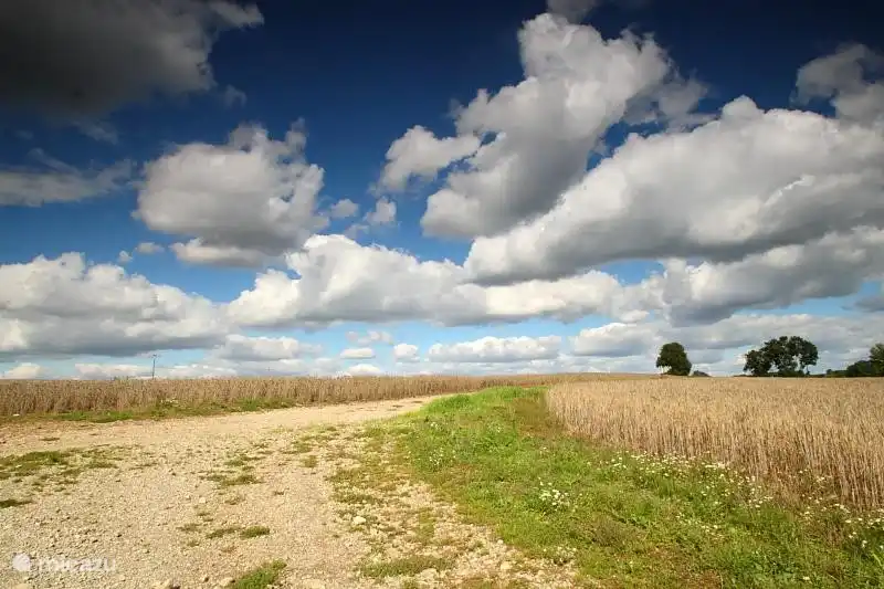 Sommer von seiner schönsten Seite ...