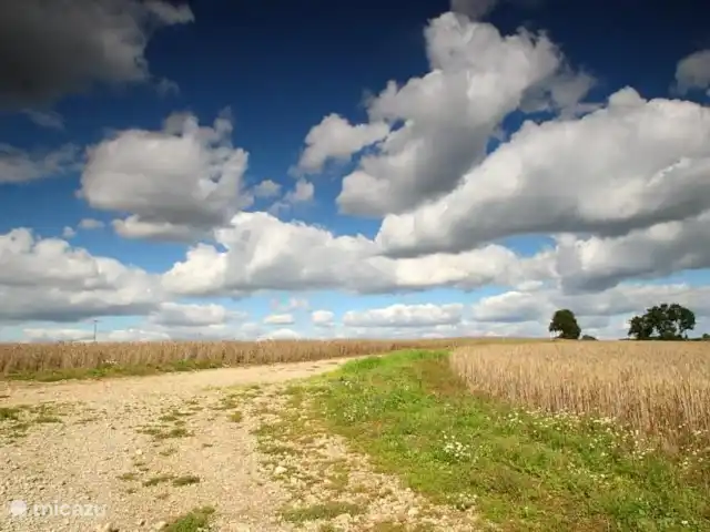 casa vacacional en Alemania, Hesse, Ronshausen – Us Hûske Verano en todo su esplendor...