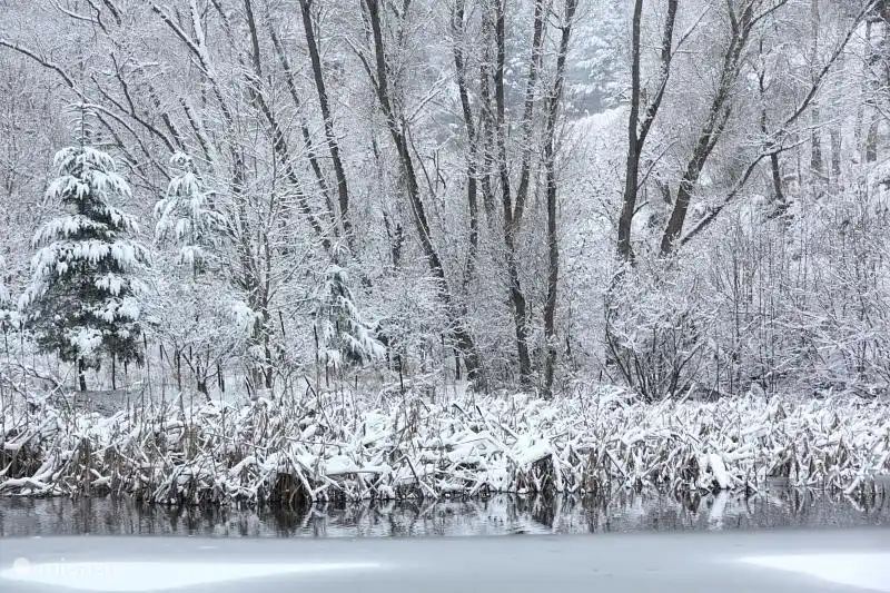 Auch als König Winter-herrscht, ist ein Spaziergang durch den hessischen Wald ein tolles Erlebnis!