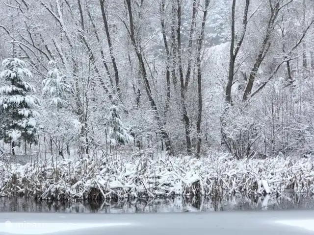 casa vacacional en Alemania, Hesse, Ronshausen – Us Hûske ¡Incluso cuando reina el Rey Invierno, un paseo por Hessisches Wald es una gran experiencia!