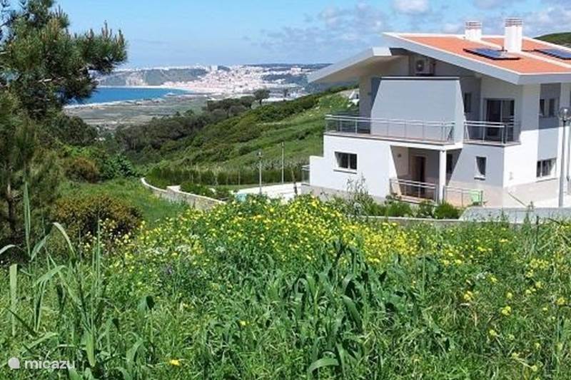 Vakantiehuis Portugal, Costa de Prata, Nazaré Villa Villa Tradewinds - Ocean View