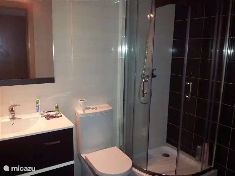 One of the three bathrooms. This bathroom has a shower, toilet and sink.