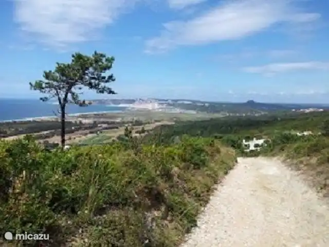 Villa Tradewinds - Vue sur l'océan | Portugal, Costa de Prata, Nazaré - villa Environnement avec vue sur la réserve naturelle et l'océan.