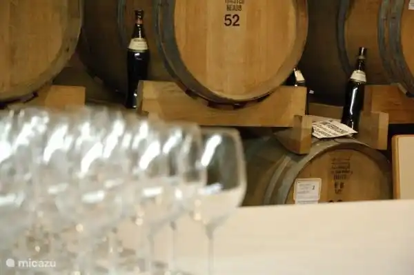 ¿Te apetece un tour de vinos en una gran bodega? que puede