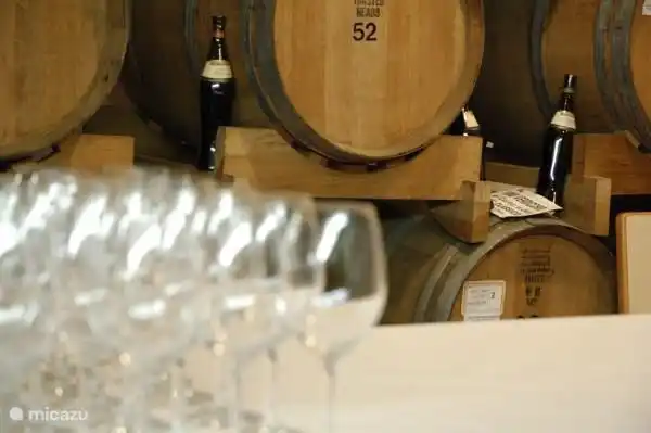 ¿Te apetece un tour de vinos en una gran bodega? Eso es posible.