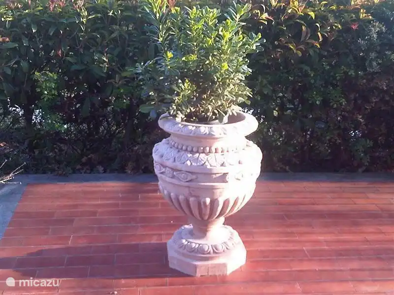 Terracotta vase made from the Tuscan clay.