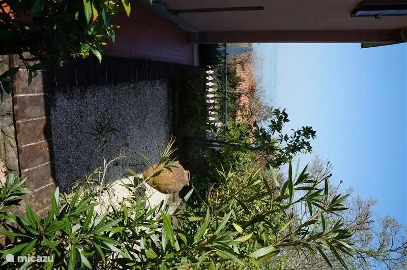 Garden on one side of the house.