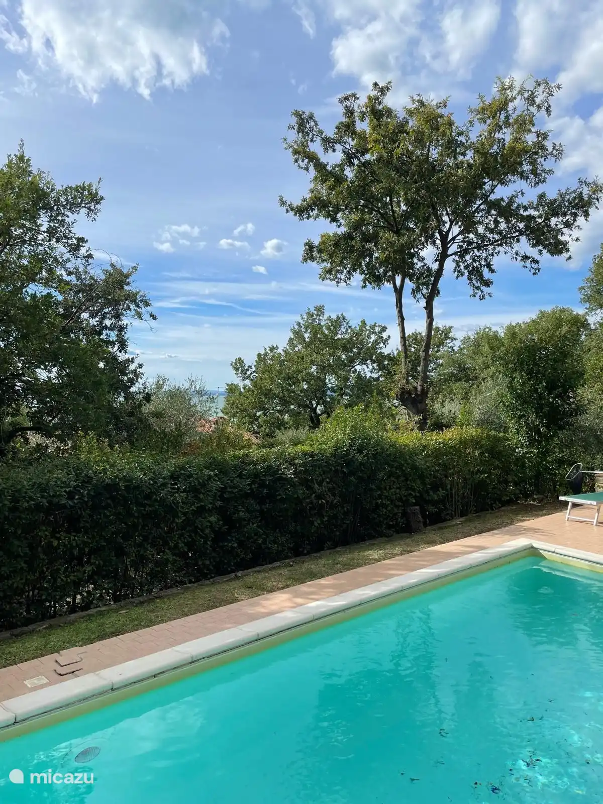 View from the terrace and pool