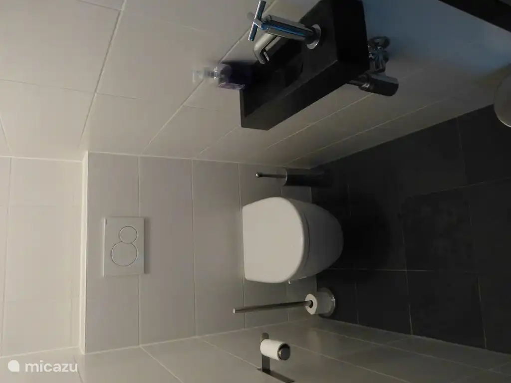 Das ebenerdige Dusche. Die Halle verfügt über ein separates WC.