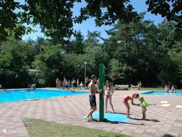 Mezennest 79 | Pays-Bas, Gueldre, Nunspeet - bungalow La piscine extérieure avec pataugeoire. À seulement 2 minutes à pied et librement accessible aux hôtes du nid de mésange.