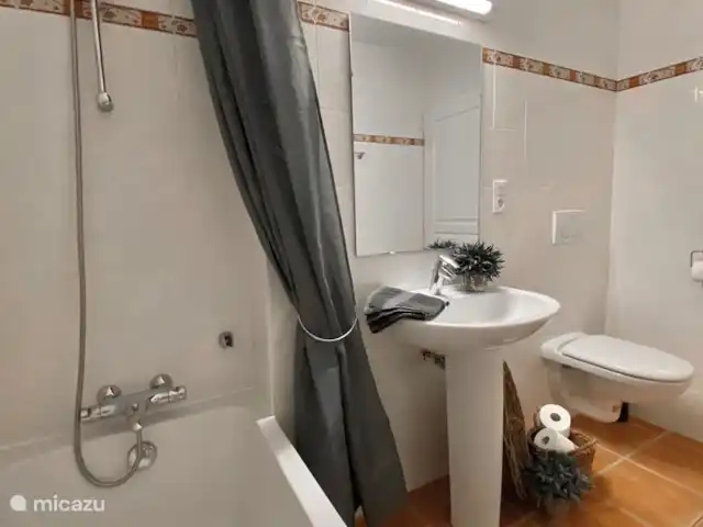 Villa Le Sanglier, met privé zwembad huren in Frankrijk, Ardèche, Vallon-Pont-d'Arc - villa badkamer begane grond