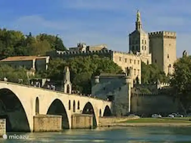 Villa Le Sanglier, met privé zwembad huren in Frankrijk, Ardèche, Vallon-Pont-d'Arc - villa De Pont d'Avignon.
