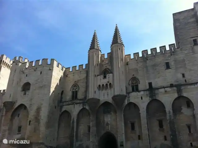 Villa Le Sanglier, met privé zwembad huren in Frankrijk, Ardèche, Vallon-Pont-d'Arc - villa Palais des Papes, Avignon.