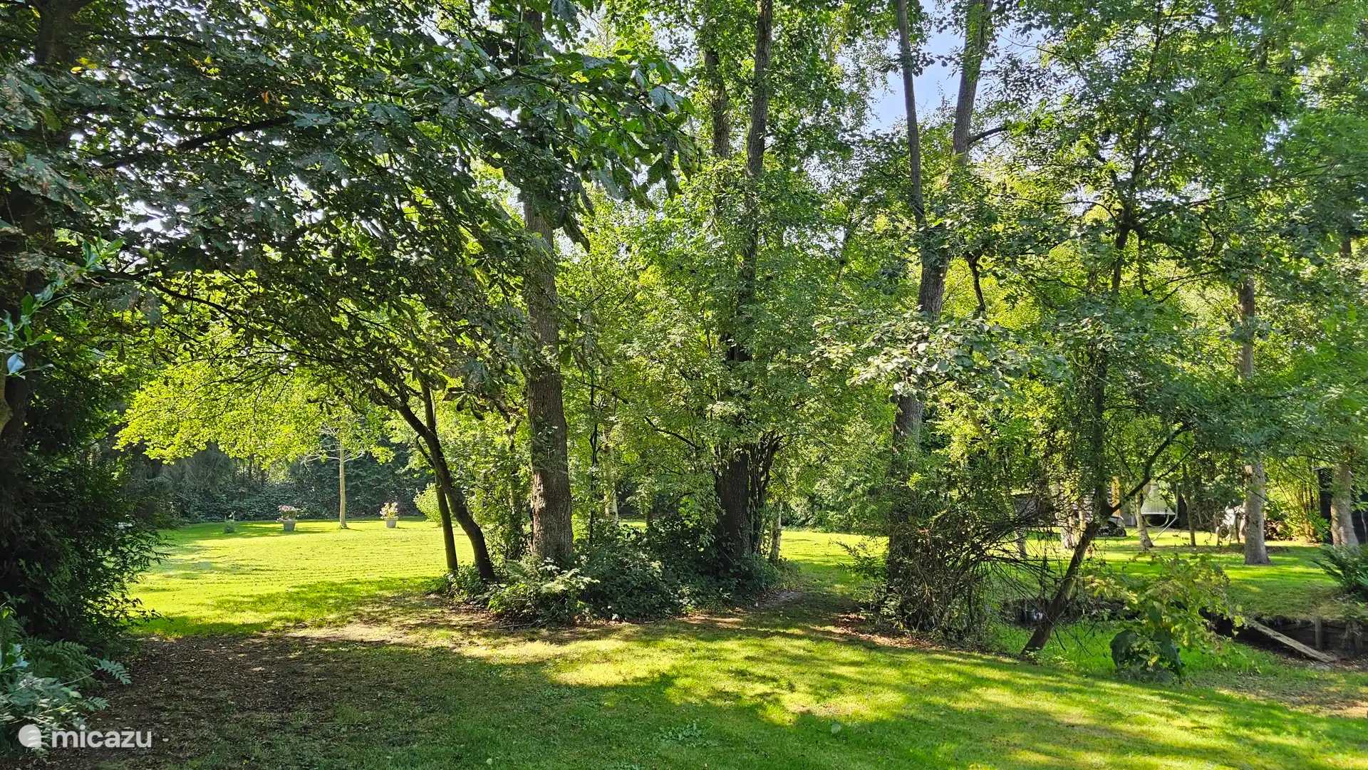 Sunbathing lawn and pond