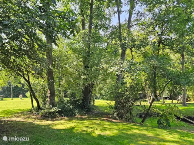 It Koaihus huren in Nederland, Friesland, Jistrum - vakantiehuis Zonneweide en vijver