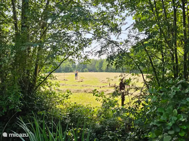 It Koaihus huren in Nederland, Friesland, Jistrum - vakantiehuis Hooiland aan ons zandpad