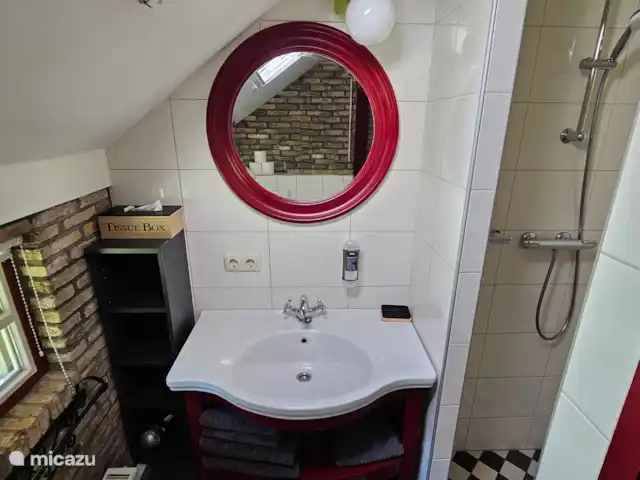 It Koaihus huren in Nederland, Friesland, Jistrum - vakantiehuis Wastafel en douche