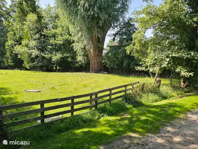 It Koaihus huren in Nederland, Friesland, Jistrum - vakantiehuis Onze schapenweide