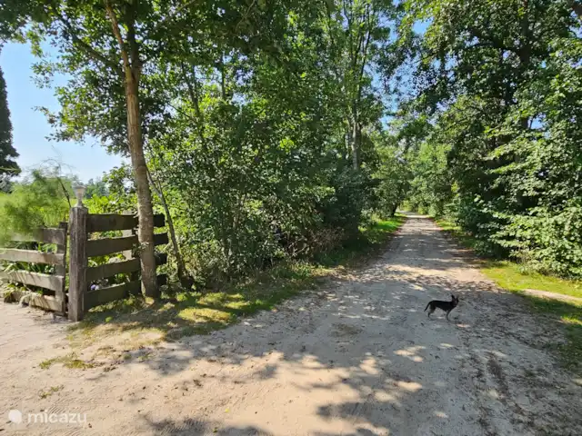 It Koaihus huren in Nederland, Friesland, Jistrum - vakantiehuis Aankomstpunt voor ons huisje