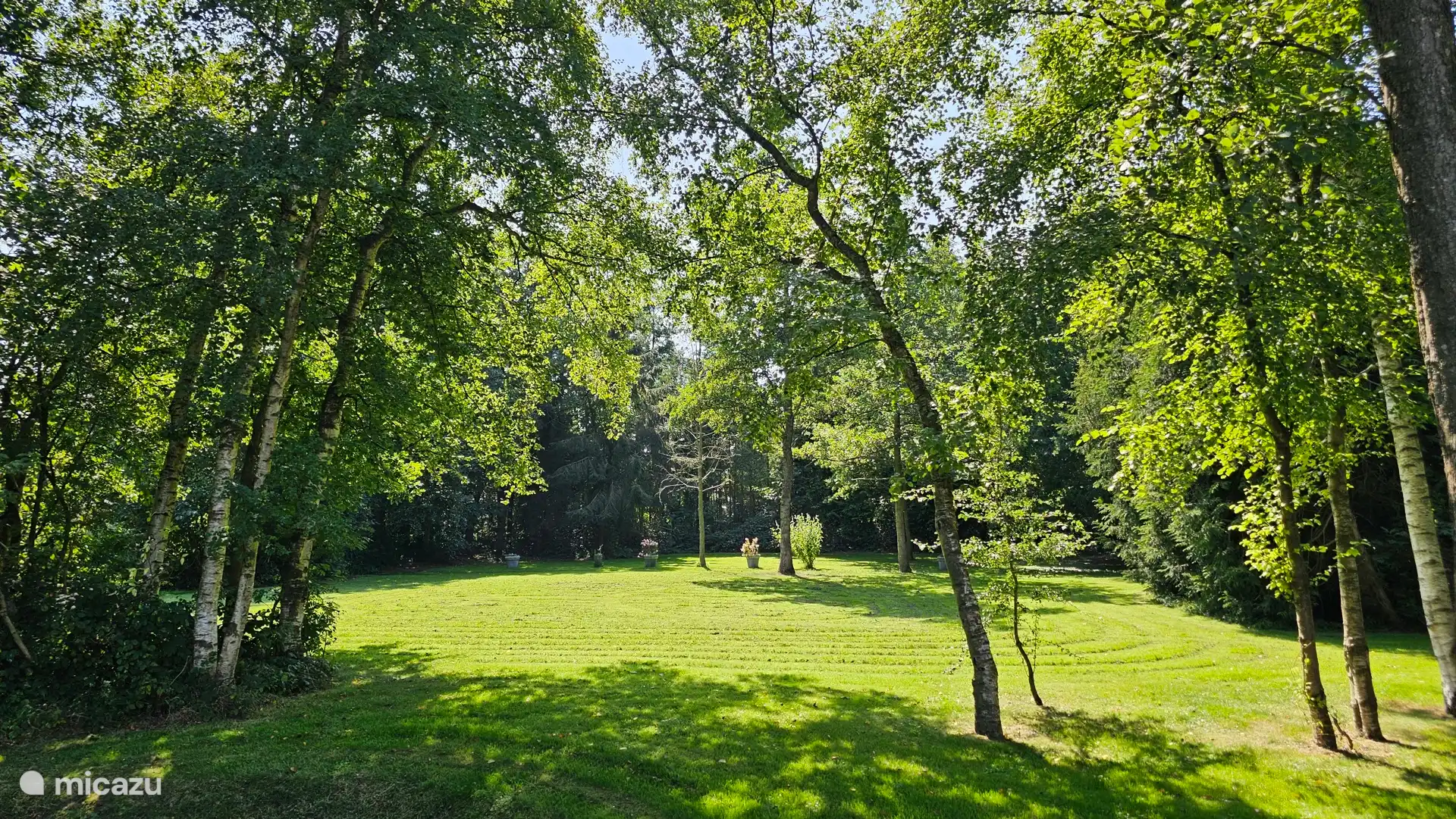Your sunbathing lawn