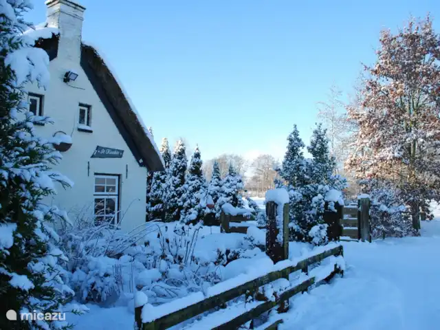 It Koaihus huren in Nederland, Friesland, Jistrum - vakantiehuis It Koaihûs in de winter
