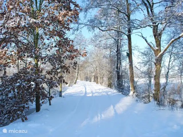 It Koaihus huren in Nederland, Friesland, Jistrum - vakantiehuis De Heideweg in de winter