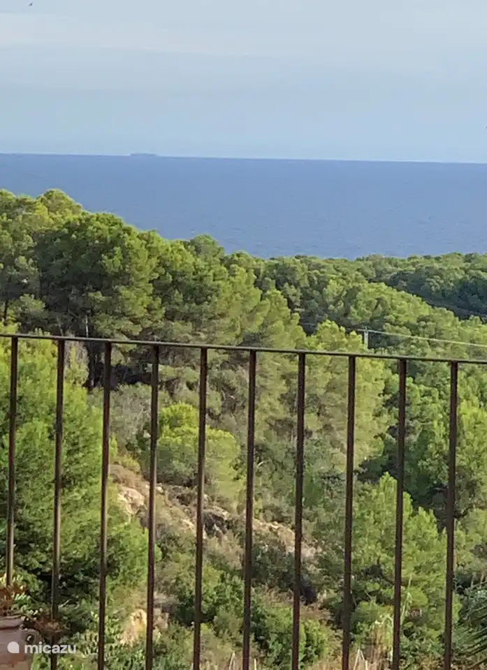 Deine Ansicht...
Kaum fotografierbar.