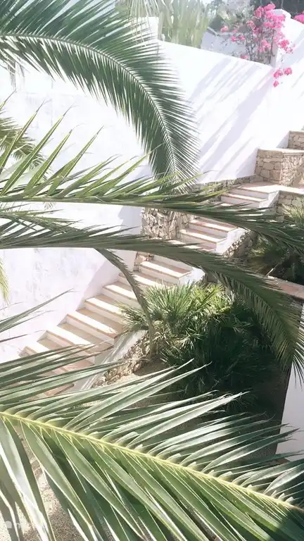 Die Treppe zum Palmengarten