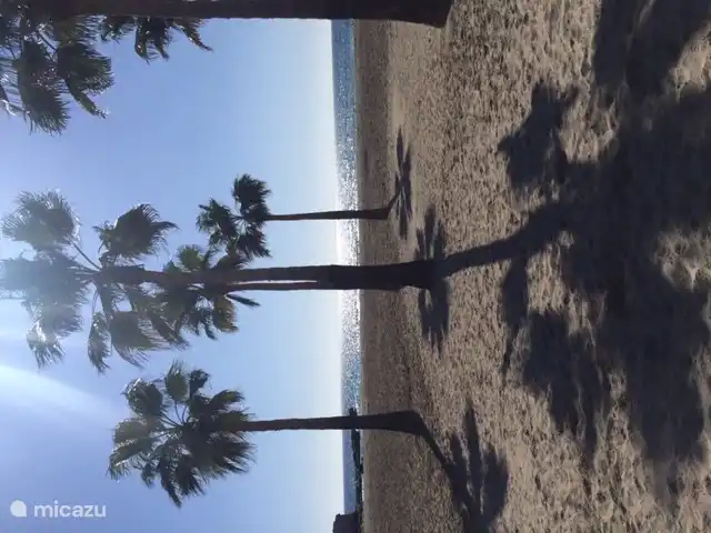 Der Strand von Moraira
Moraira, gemütliches Fischerdorf mit schönem Hafen, Terrassen und schönen trendigen Geschäften, eine 7-minütige Autofahrt entfernt an der kurvenreichen Küstenstraße mit schönem Meerblick