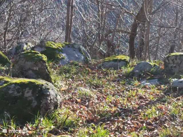 chabon 4 | France, Ardèche, Valgorge - gîte / cottage le long du sentier de randonnée