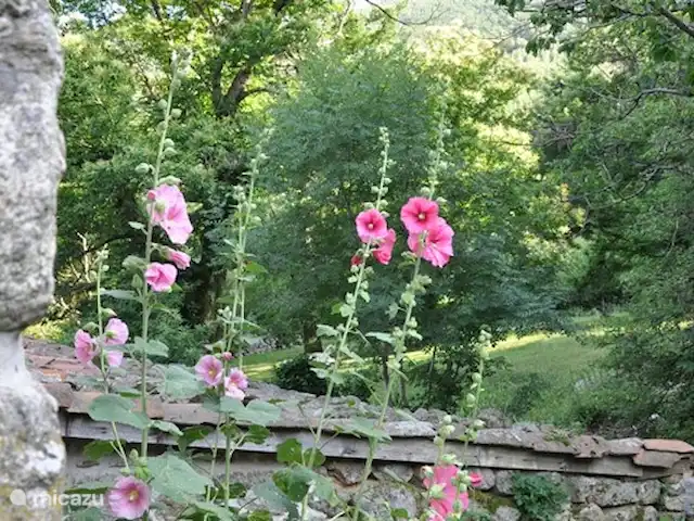 chabon 4 | France, Ardèche, Valgorge - gîte / cottage par chemin à l'arrière du gîte