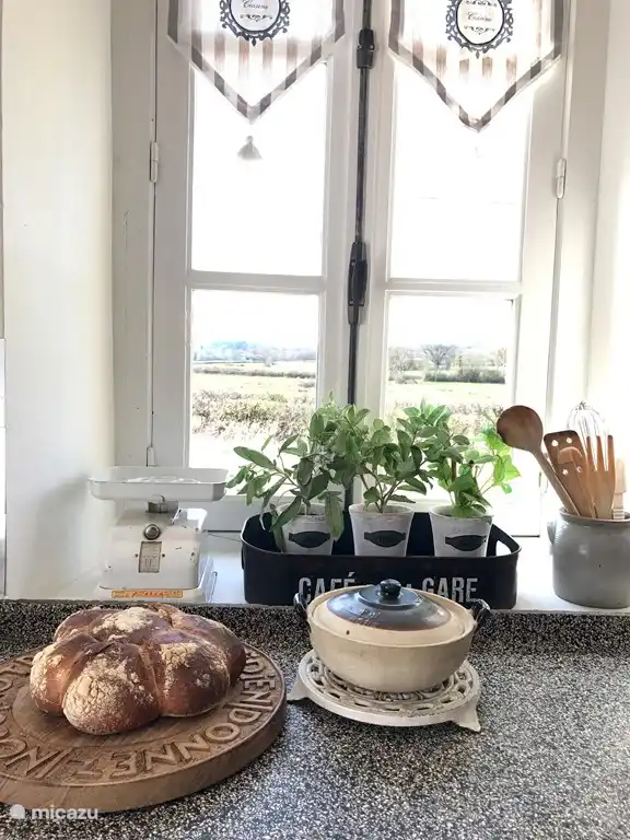 Die gesammelten Floh