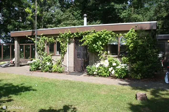 Bosluwte in Niederlande, Overijssel, Ommen - Bungalow
