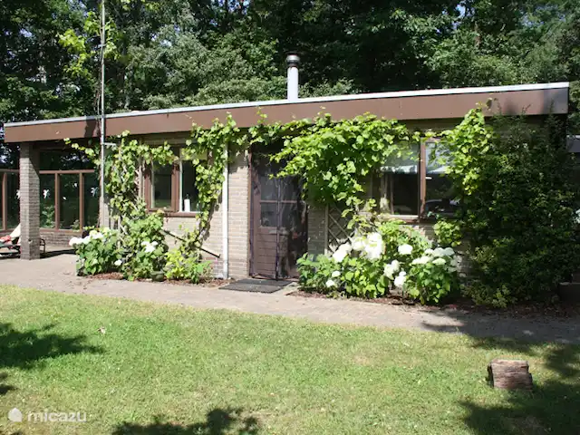 Forêt lie | Pays-Bas, Overijssel, Ommen - bungalow Forêt lie | Pays-Bas, Overijssel, Ommen - bungalow