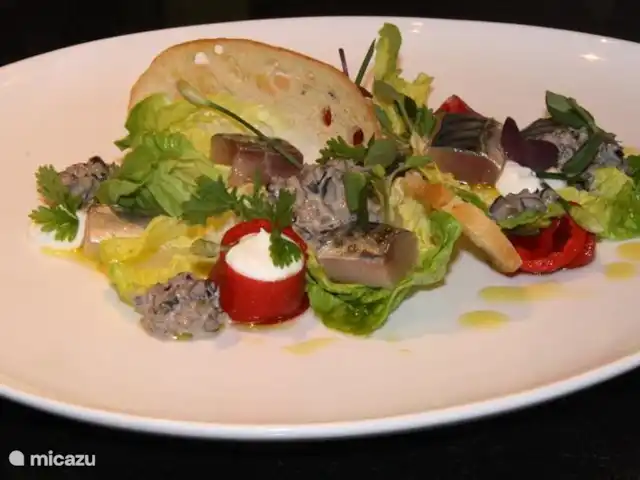 Forêt lie | Pays-Bas, Overijssel, Ommen - bungalow À distance de marche et de vélo de bons restaurants. Le service de repas est également possible via VechdalFood Catering !