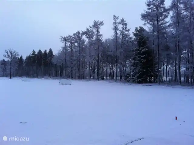 Forêt lie | Pays-Bas, Overijssel, Ommen - bungalow Scènes d'hiver.