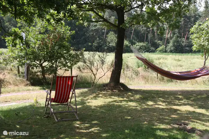 Bosluwte in Niederlande, Overijssel, Ommen - Bungalow