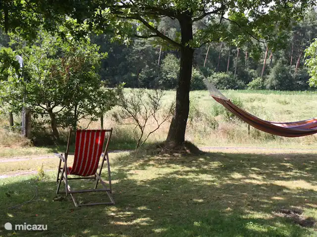 Forêt lie | Pays-Bas, Overijssel, Ommen - bungalow Détendez-vous à l'ombre dans votre propre jardin !
