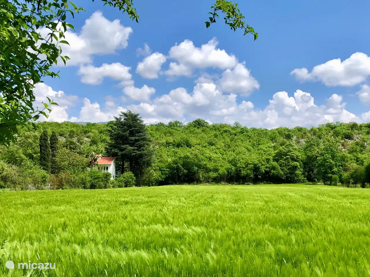 La maison est située dans la vallée de Bjelopavlici entre Danilovgrad et Nikšic. Notre maison est située près du village de Kujava.