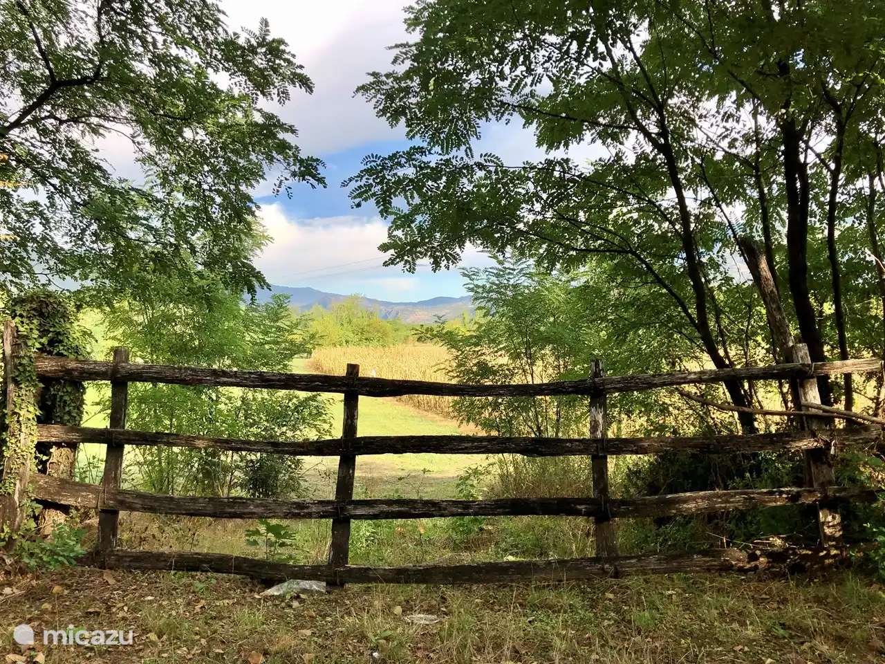 Vues que vous voyez lorsque vous vous promenez dans Kujava.