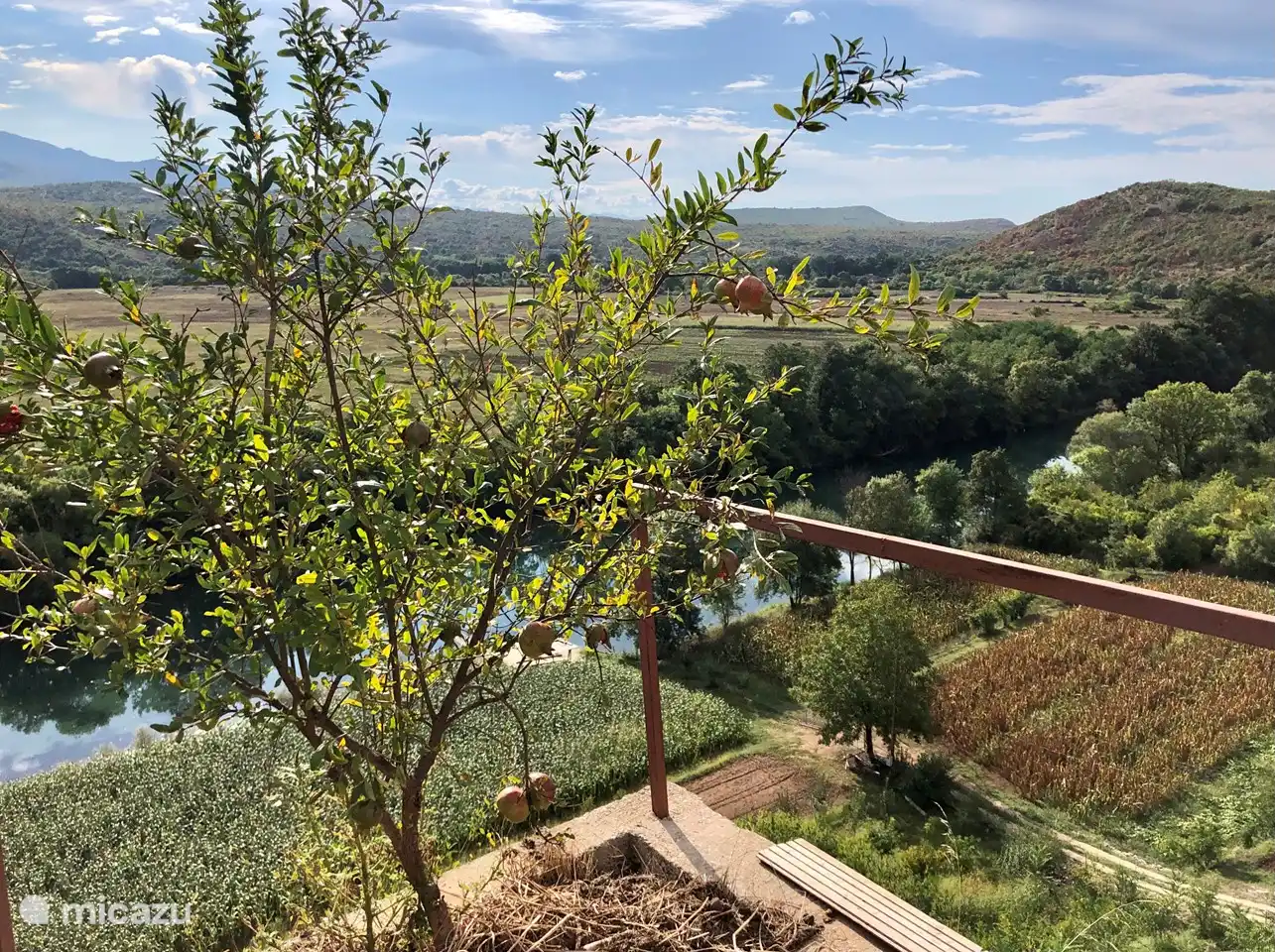 Vue de Kujava sur la rivière Zeta avec un grenadier, l'un des fruits locaux, au premier plan.