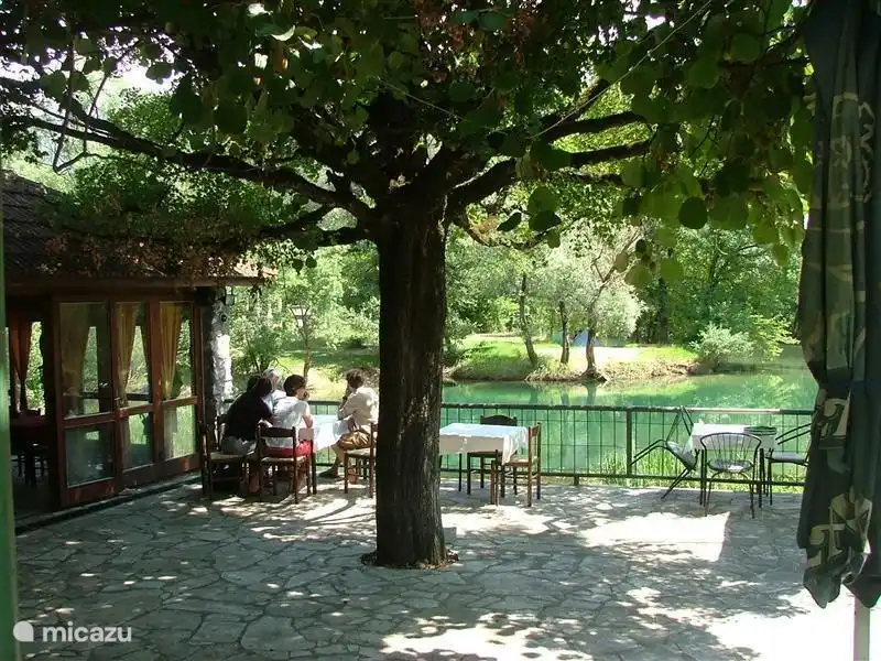 L'un des meilleurs restaurants à distance de vélo de notre maison directement sur la Zeta : Konoba Svera. Cuisine excellente et très fraîche avec un excellent service amical et bien sûr pas cher. Assurez-vous d'essayer la soupe de poisson et la truite frite ou l'anguille (du Zeta).