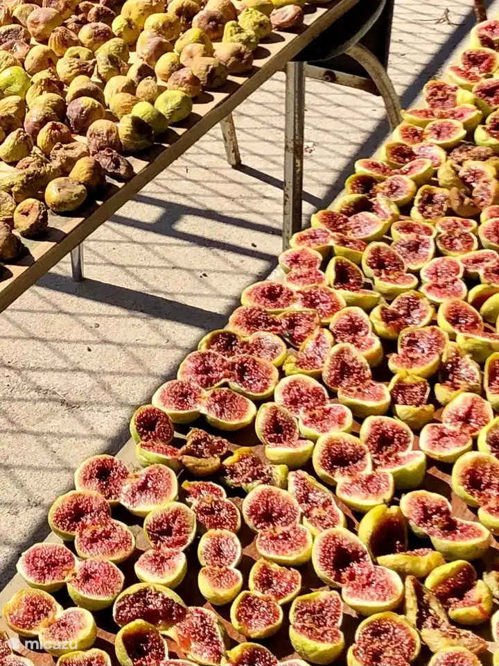 Figues séchées. Partout, vous pouvez acheter des figues fraîches, des tomates, des pastèques, des raisins, etc. en été. En octobre, les mandarines, les kakis et les grenades sont mûrs. Des fromages faits maison, des jambons fumés, des grappas locales (loza) et des vins peuvent être achetés dans de nombreux endroits.