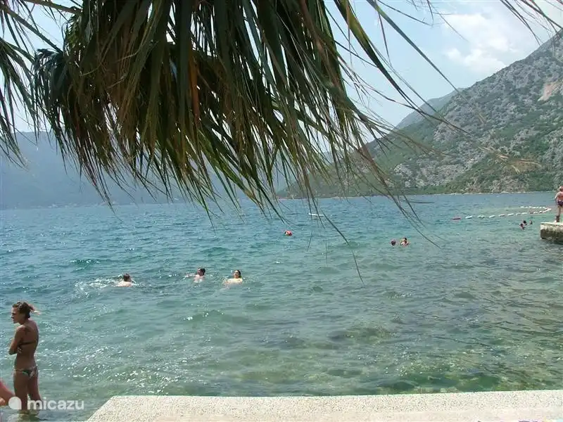 De la terrasse quelque part sur la baie de Kotor directement dans la mer avec toujours une température de l'eau merveilleuse et une eau cristalline.