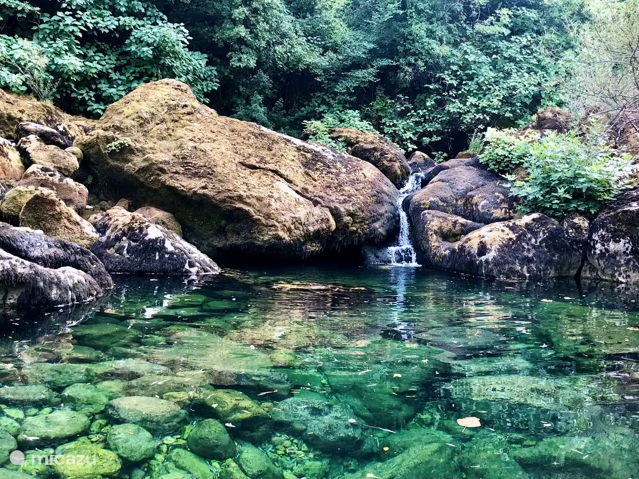 Si vous marchez en amont à Crnojevica, vous le rencontrerez. Très beau et peu de touristes.